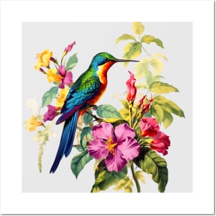 Vintage Hummingbird Illustration Backyard Bird Watchers Posters and Art